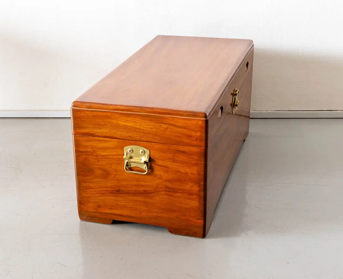 Antique Camphor Chest - The Past Perfect Collection - Singapore