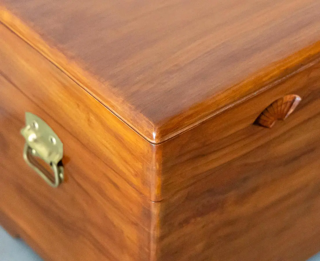 Antique Camphor Chest - The Past Perfect Collection - Singapore