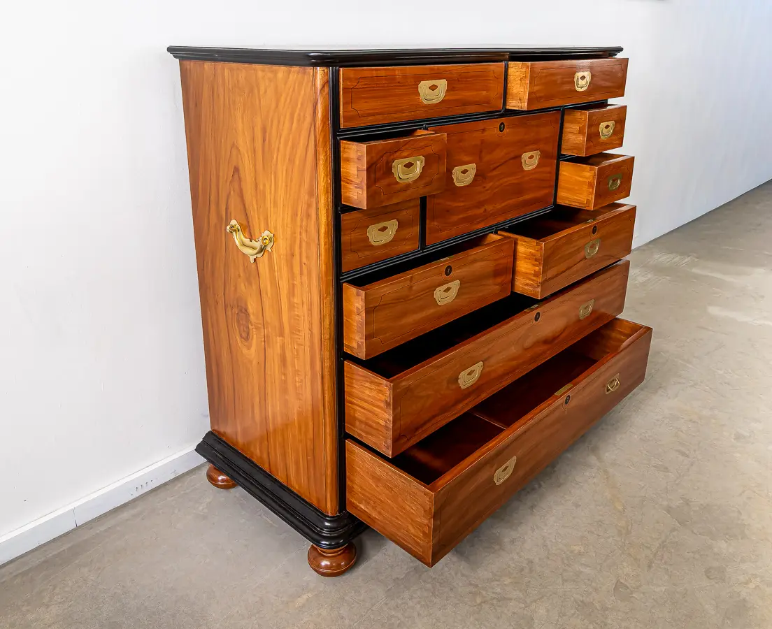 Camphor and Ebony Secretaire Chest of Drawers