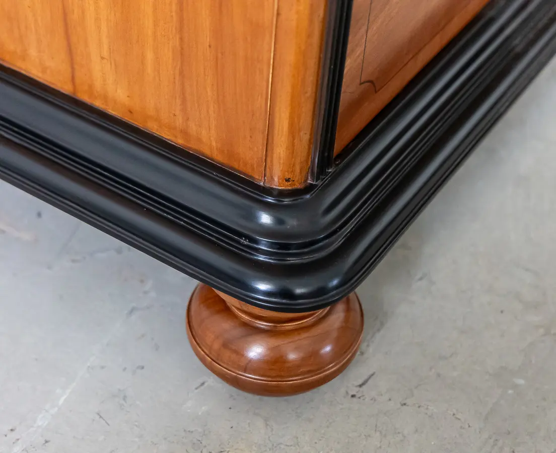 Camphor and Ebony Secretaire Chest of Drawers-L1l