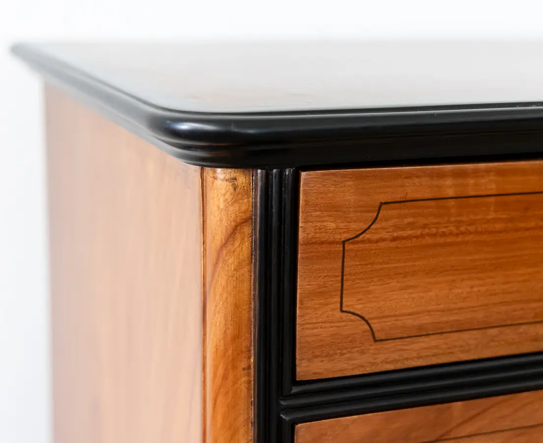 Camphor and Ebony Secretaire Chest of Drawers
